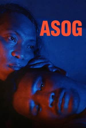 Asog