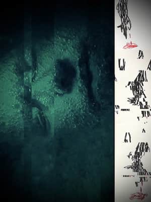 Three Wolves