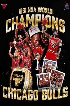 The 1991 NBA Finals