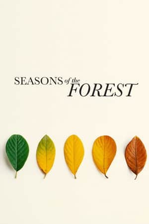 Seasons of the Forest