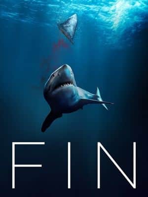 Fin
