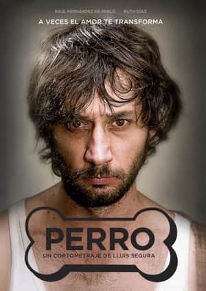 Perro
