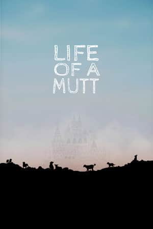Life of a Mutt