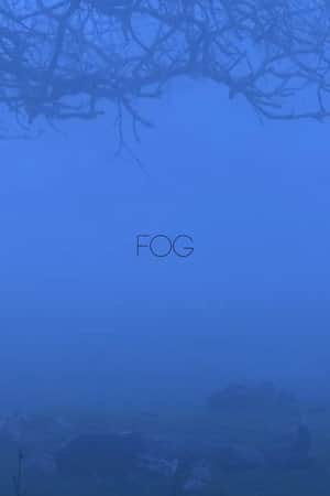 Fog