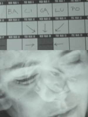 Lingue di luce – M. Bacigalupo racconta il suo cinema