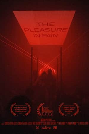 The Pleasure in Pain