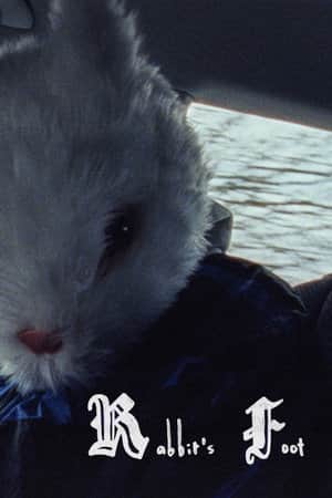 Rabbit's Foot