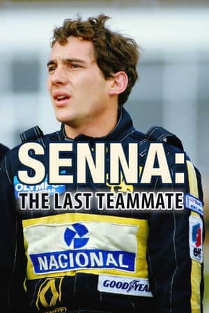 The Last Teammate