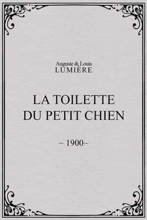 La toilette du petit chien