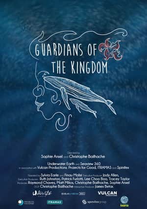 Guardians of the Kingdom