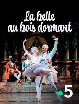 La Belle au bois dormant