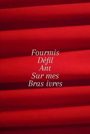 Fourmis défilant sur mes bras ivres.