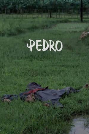 Pedro