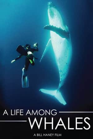 A Life Among Whales