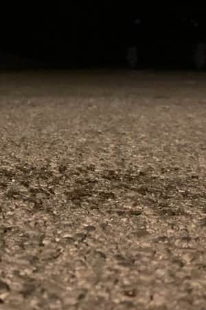 Snails Steadily Stroll the Street 2: Diligent Dirt-Dwellers Dash (Snails Steadily Stroll Lenin Nightcore Remix)