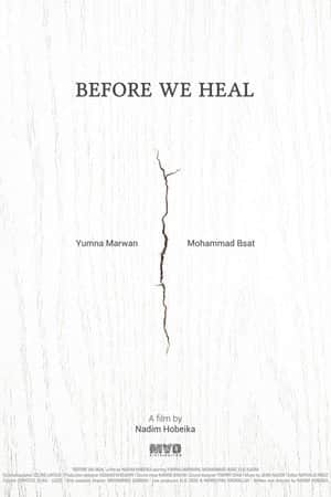 Before We Heal