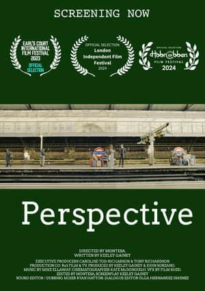 Perspective