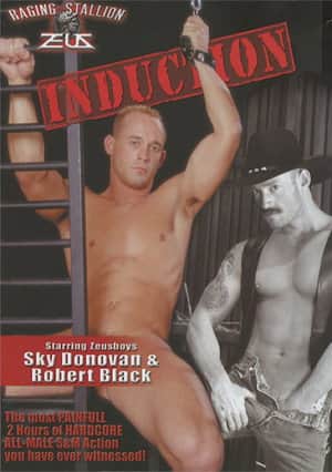 Induction