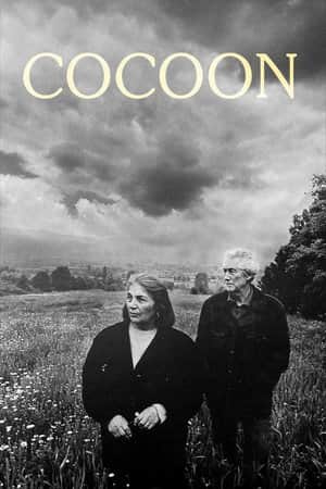 Cocoon