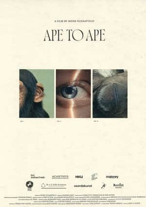 Aap tot Aap