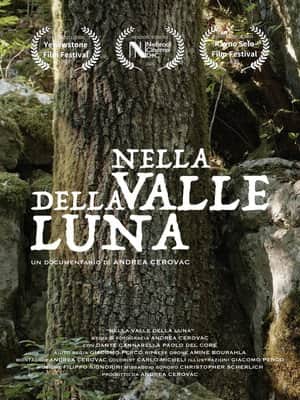 Nella Valle della Luna