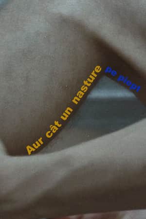 Aur cât un nasture pe piept
