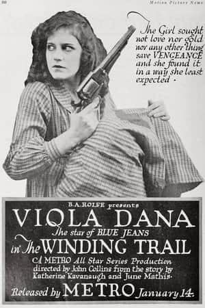 The Winding Trail