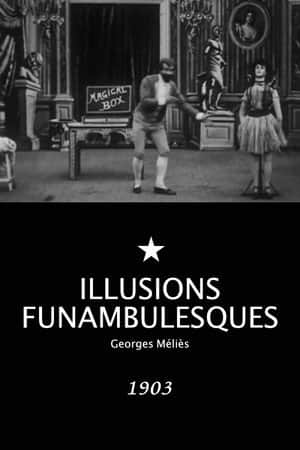 Extraordinary Illusions
