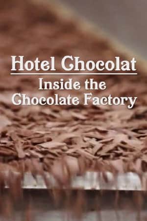 Hotel Chocolat: Inside the Chocolate Factory