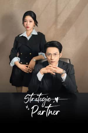 Strategic Partner