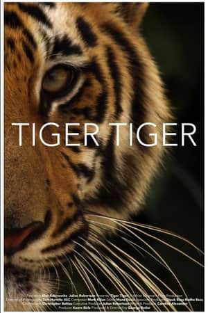 Tiger Tiger