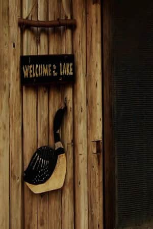 Loon Lake