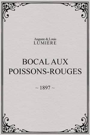 Bocal aux poissons rouges