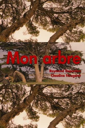 Mon arbre