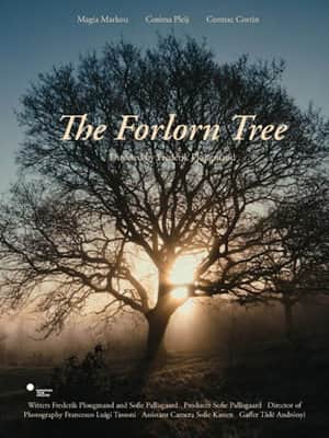 The Forlorn Tree