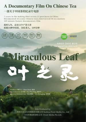 Miraculous Leaf