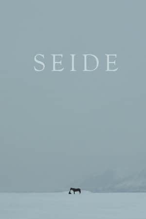 Seide