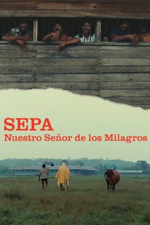 Sepa: Our Lord of Miracles
