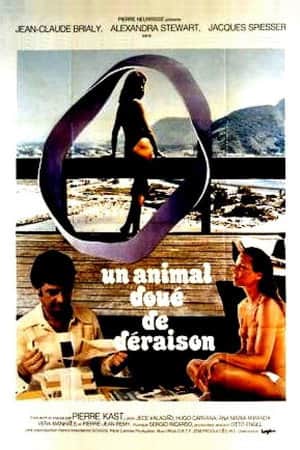 Un animal doué de déraison