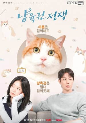 O'PENing: The Catstody War