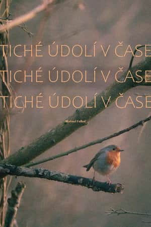 Tiché údolí v čase