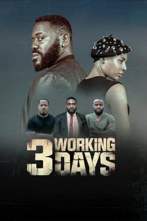 3 Working Days