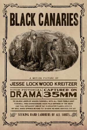 Black Canaries