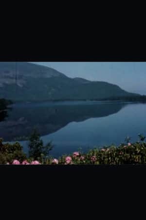 Return to Kerry