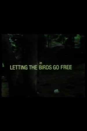 Letting the Birds Go Free