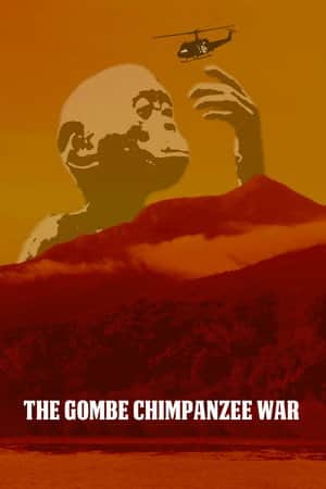 The Gombe Chimpanzee War