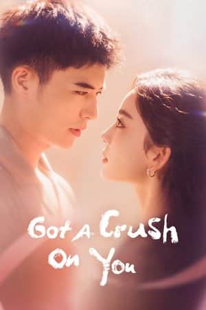 Got a Crush on You