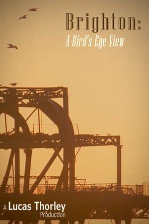 Brighton: A Bird's Eye View