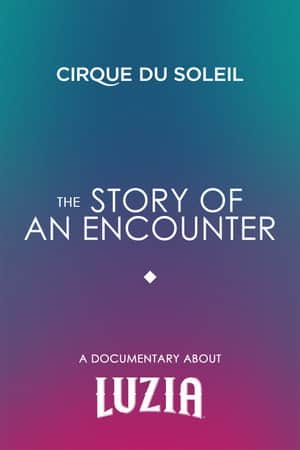 The Story Of An Encounter