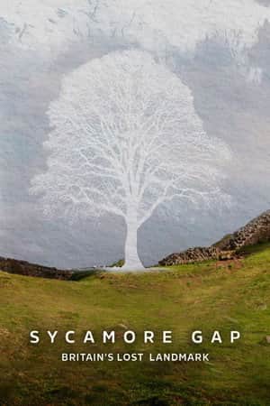 Sycamore Gap: Britain's Lost Landmark